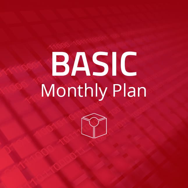 Basic Monthly Plan