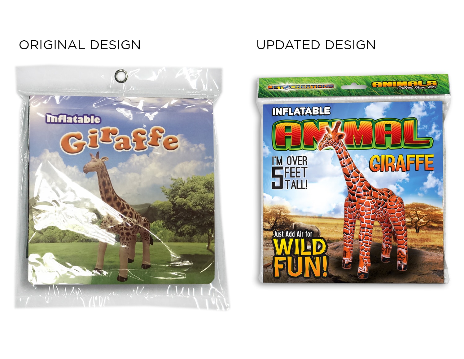MS Design Graphics Package Design