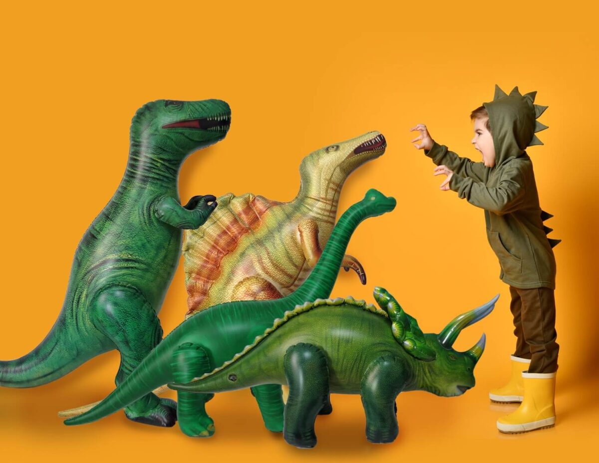 Inflatable Toy & Package Design - MS Design Graphics