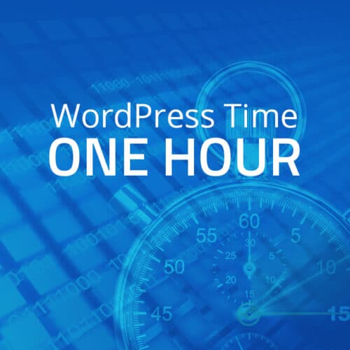 MS Design's work-time for WordPress Webiste Changes