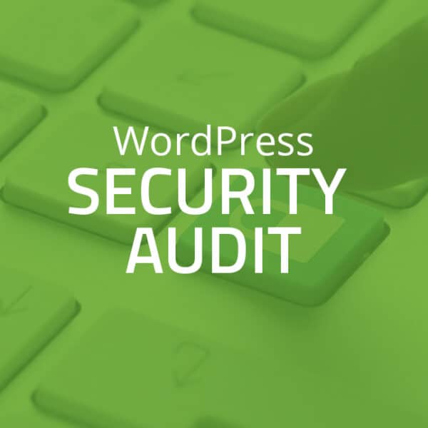 MS Design's WordPress Website Security Audit