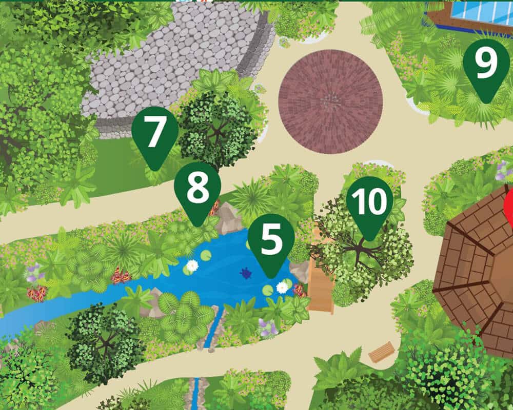 OMAM Garden Map Zoom 3