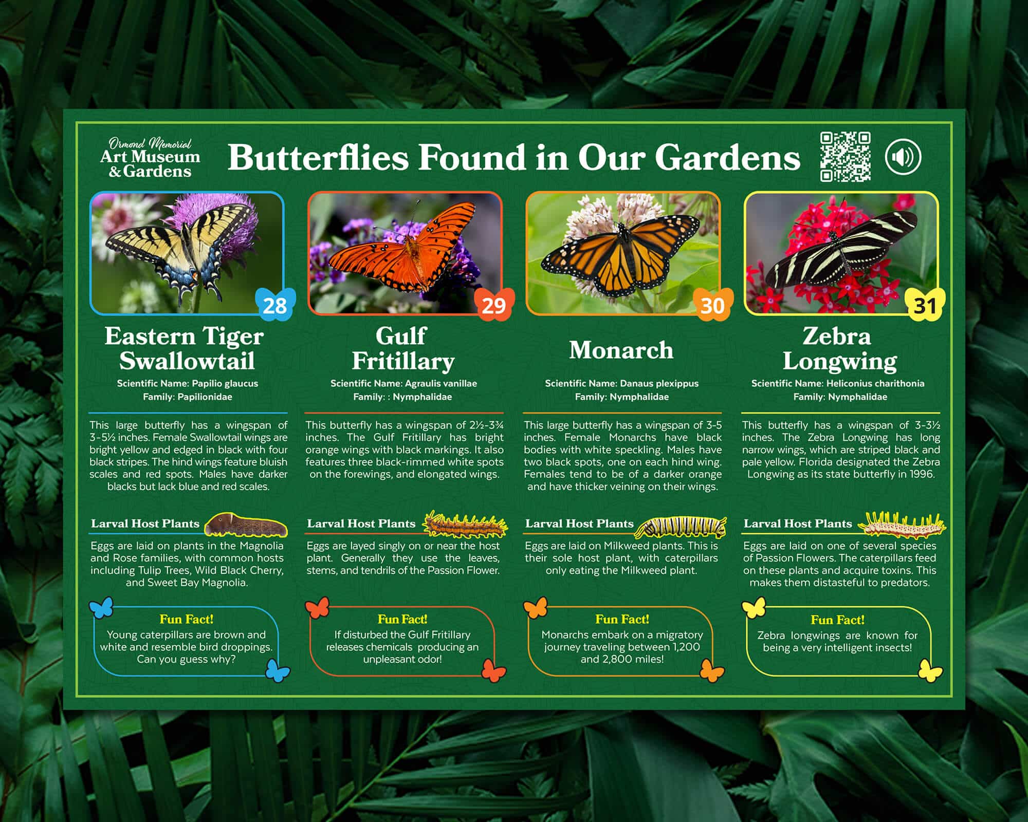 Butterfly Sign Butterfly Sign
