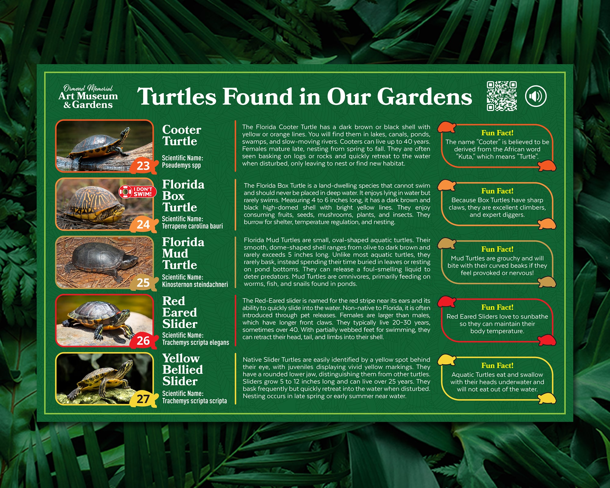 Turtle Sign Turtle Sign